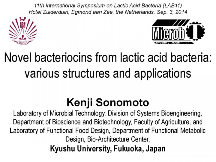 LAB11 (Sonomoto) 14.9.30001